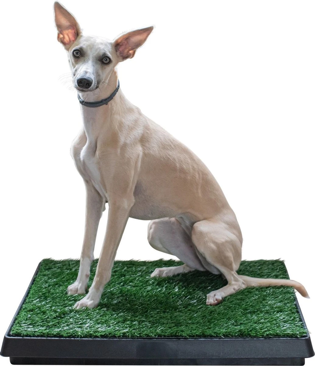 Adori Trainingsmat Gras - Hondentoilet - 50x63 Cm Multi-Color - Afbeelding 3