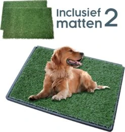 Merkloos Gtrise Hondentoilet Met 2 Matten - Out/Indoor - Zindelijkheidstraining Ebook - Dieren Wc