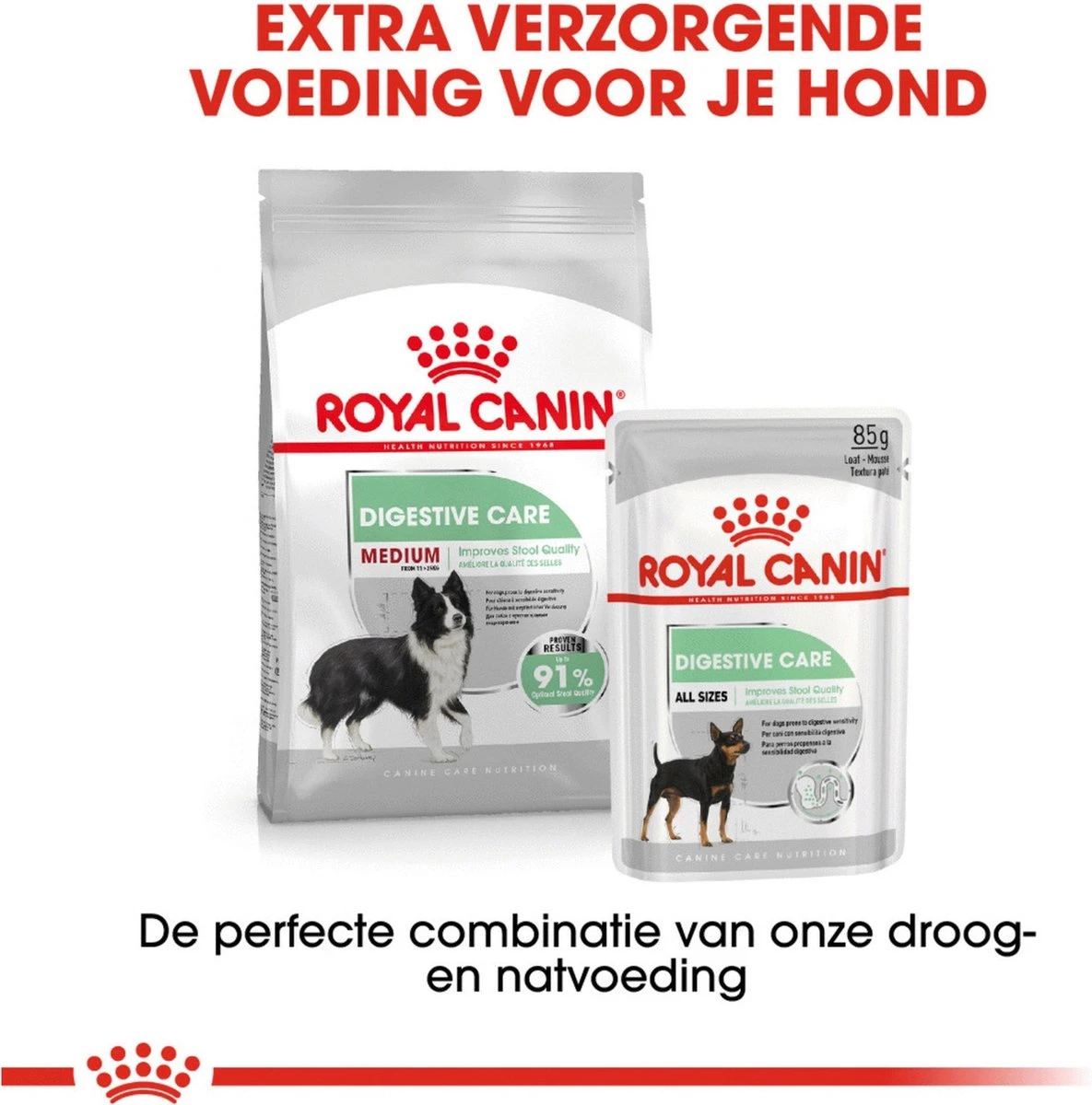Royal Canin Digestive Care Medium - Hondenvoer - 12 Kg - Afbeelding 9