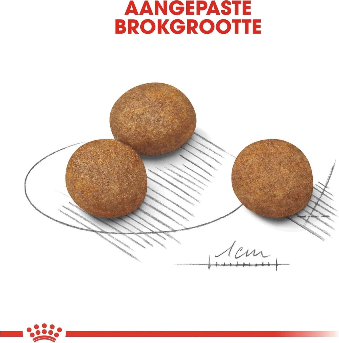 Royal Canin Maxi Puppy 4 KG - Afbeelding 3