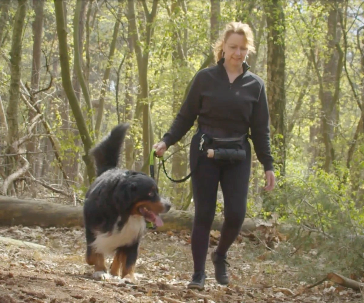 Canicross Looplijn Hond Met Heupriem Voor Hardlopen - Elastische Handsfree Hondenriem - Honden Trainingslijn - 150/210cm - Zwart - Afbeelding 2