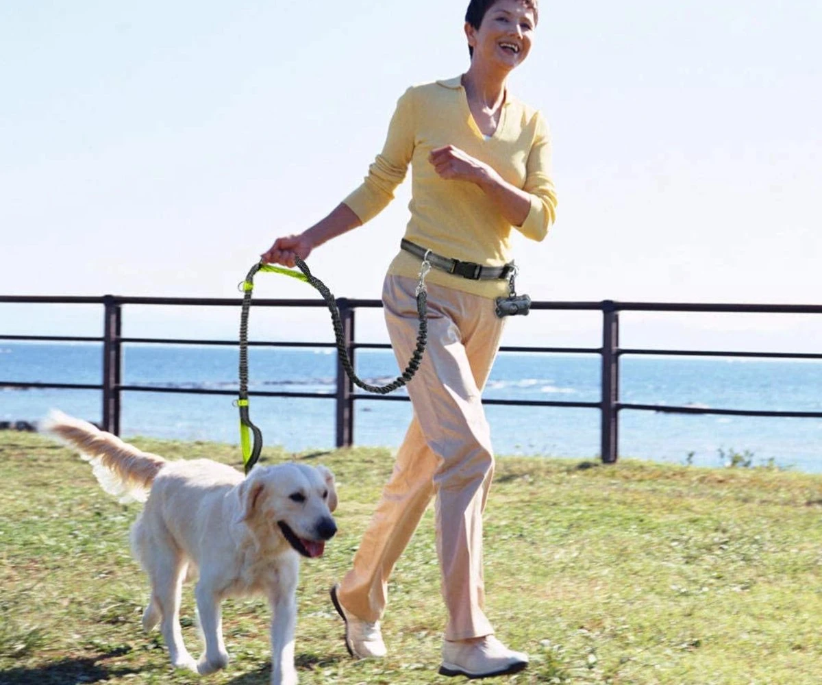 Canicross Looplijn Hond Met Heupriem Voor Hardlopen - Elastische Handsfree Hondenriem - Honden Trainingslijn - 150/210cm - Zwart - Afbeelding 7