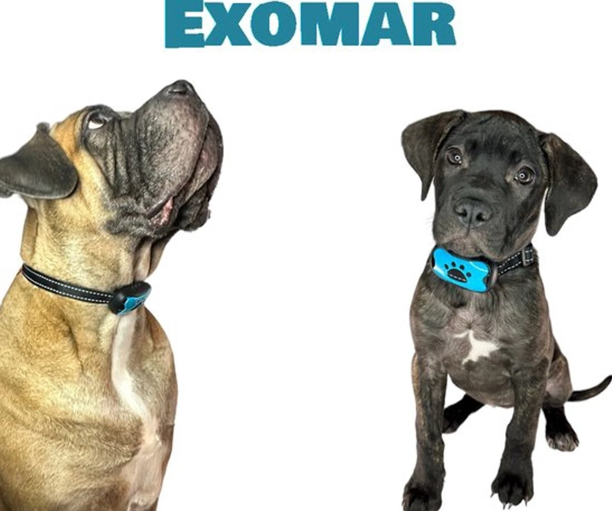 Exomar® Anti Blafband Voor Honden Blafband Anti Blaf Apparaat Blafband Zonder Schok - Diervriendelijk - Afbeelding 7