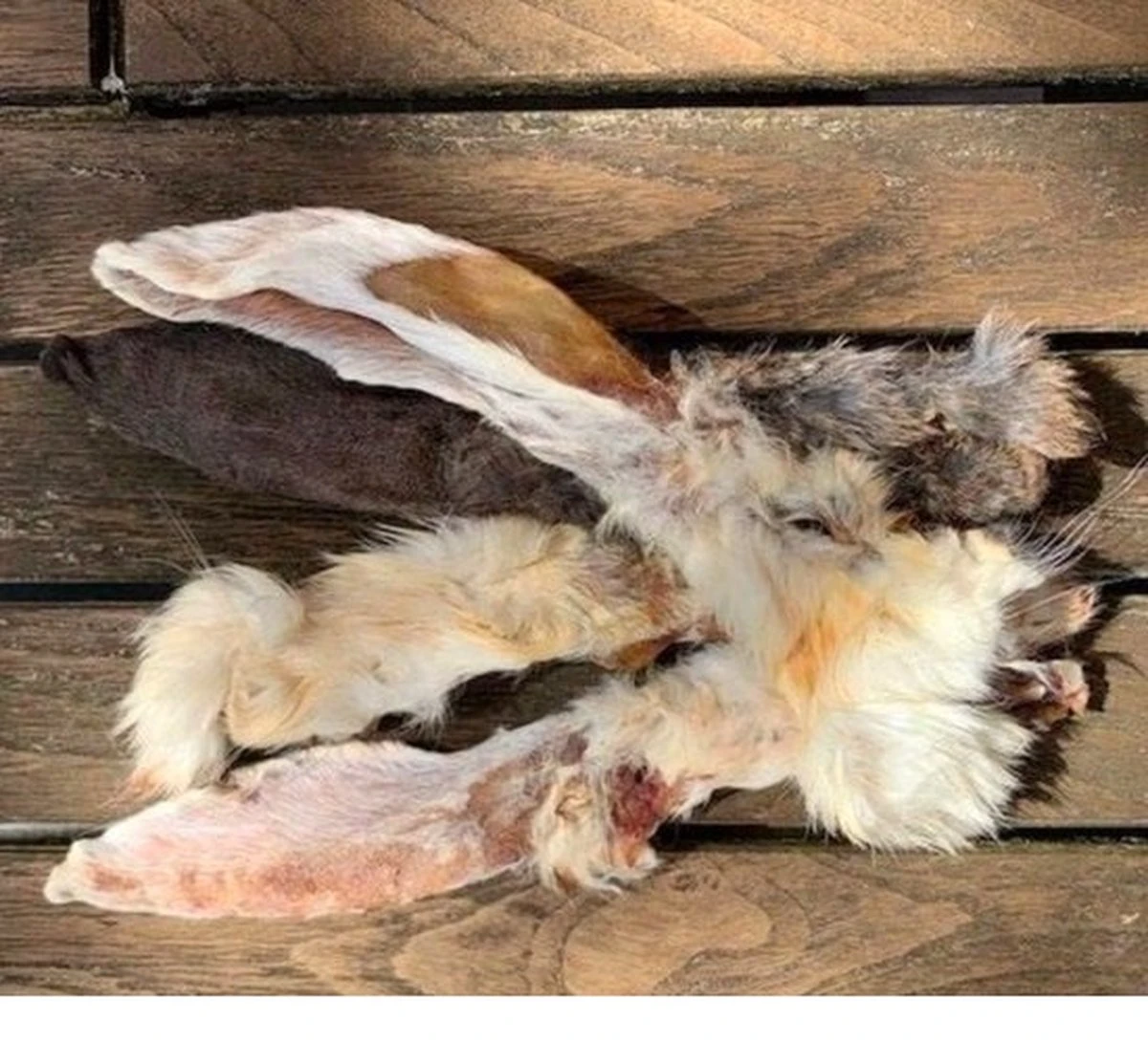 Merkloos Konijnenoren Met Haar - 2 X 1 Kg - 100% Natuurlijk - Afbeelding 2