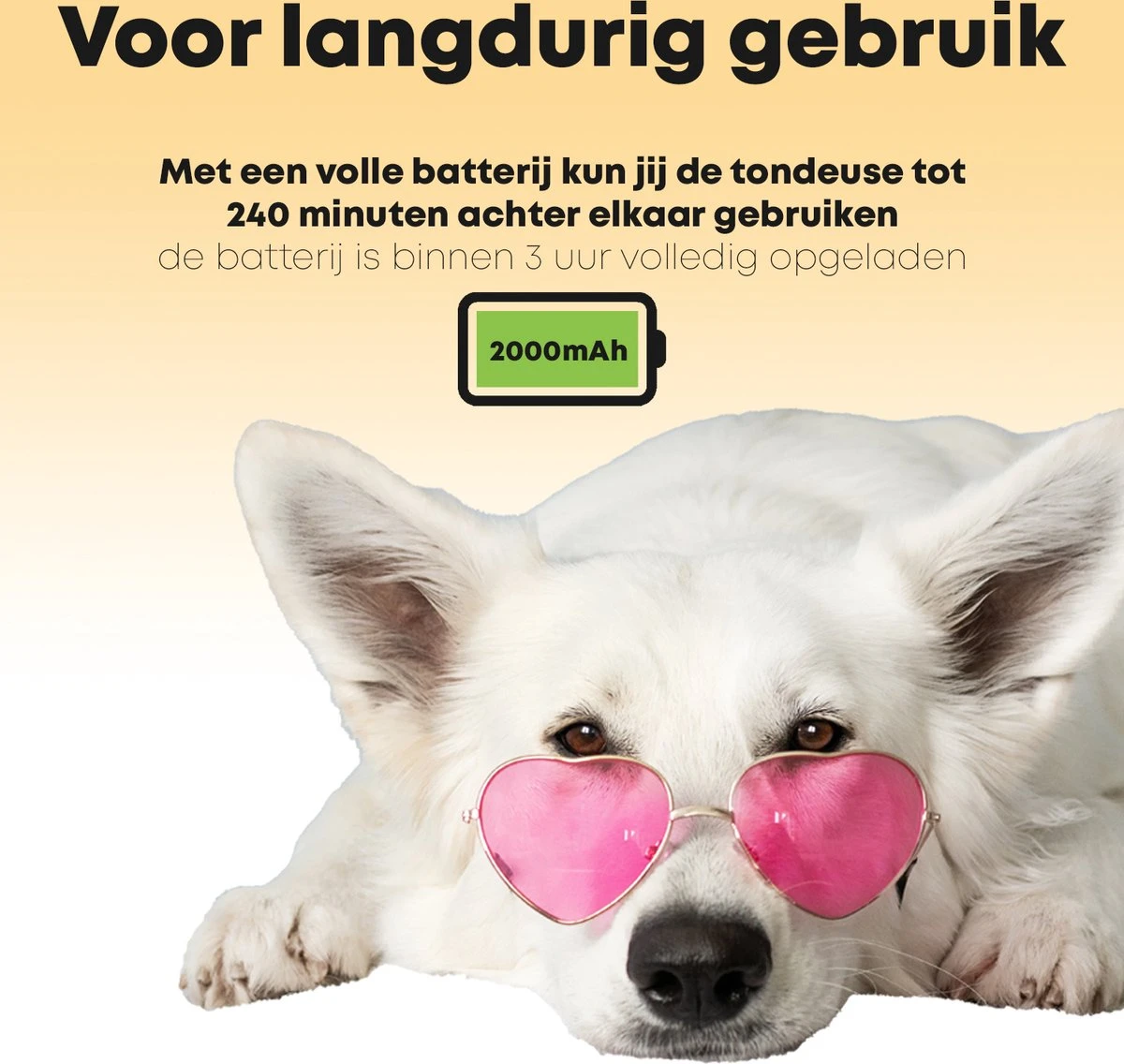 Hondentondeuse Professioneel - 2 In 1 - Honden & Katten - Hondentrimmer - Dikke & Dunne Vacht - Afbeelding 5