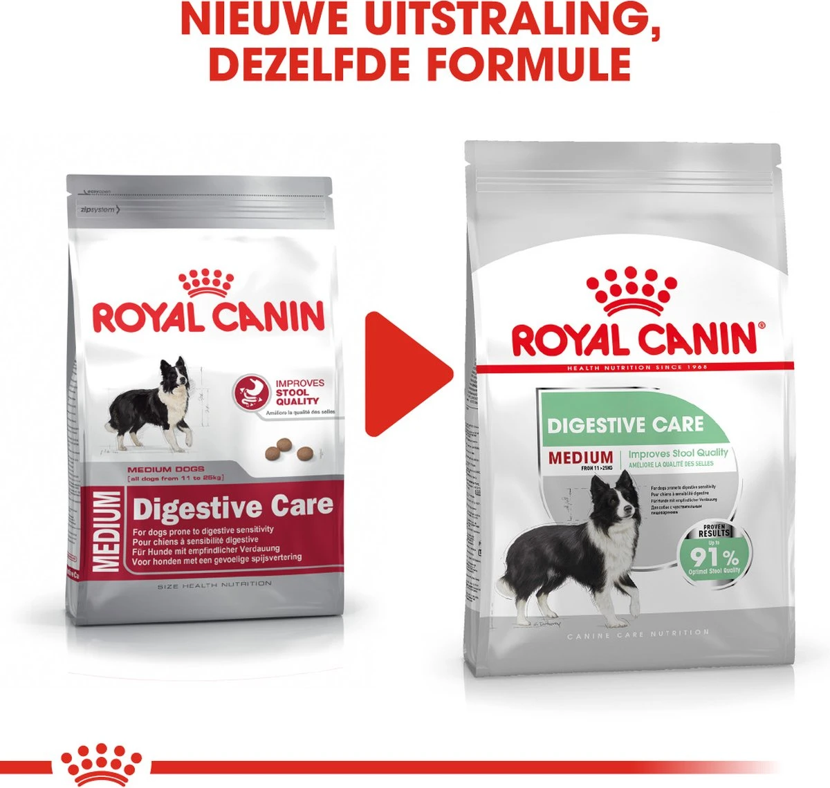 Royal Canin Digestive Care Medium - Hondenvoer - 12 Kg - Afbeelding 5