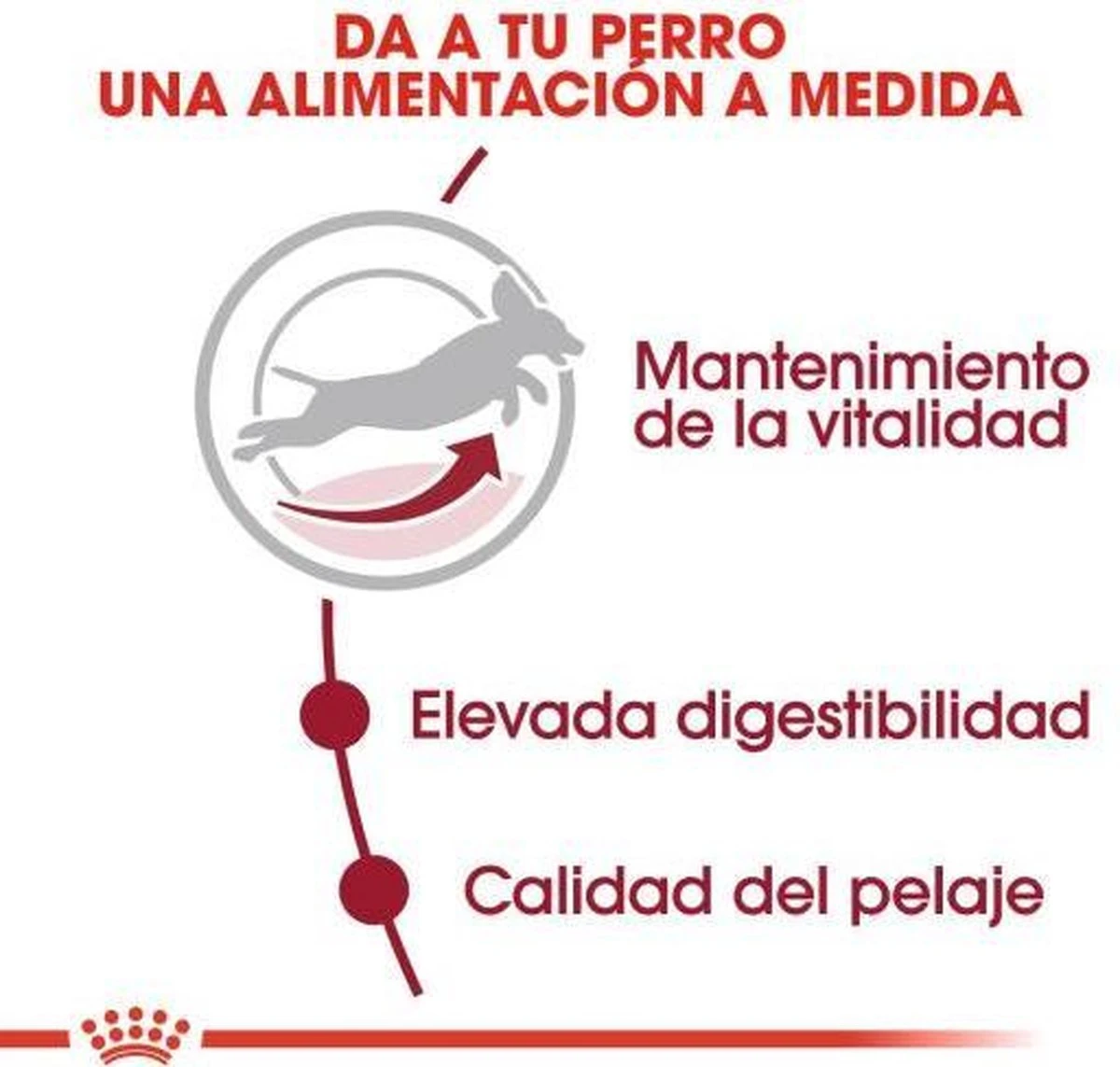 Royal Canin Medium Adult 7+ 15 KG - Afbeelding 7