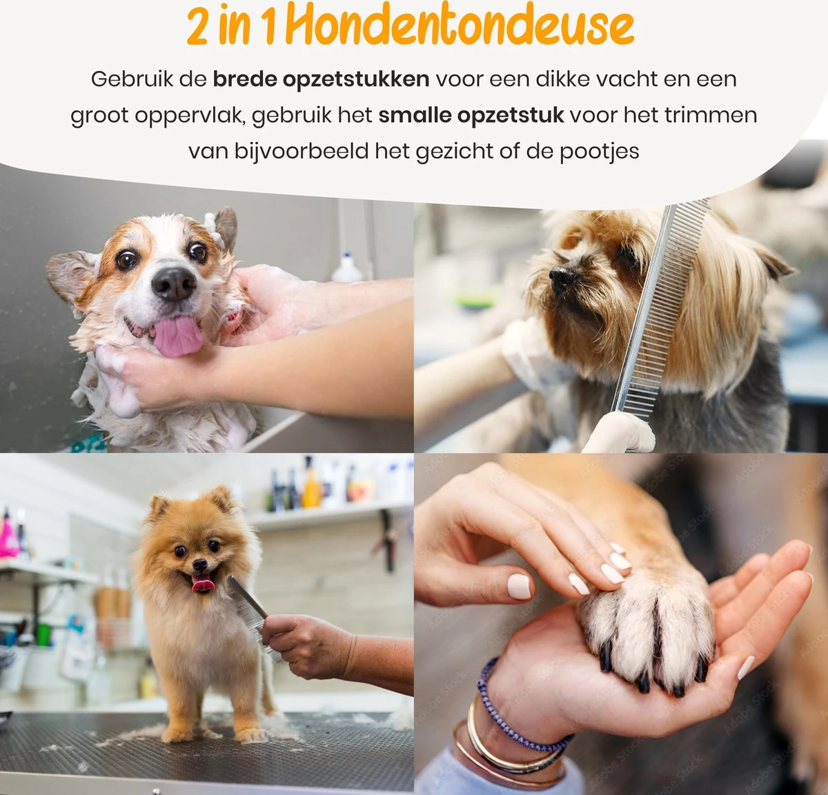 Loyalpetclub® Professionele 2-in-1 Hondentondeuse Voor Dikke Vacht – Draadloze Honden Tondeuse & Hondentrimmer – Stille Tondeuse Katten & Honden Trimset - Inclusief Opbergtasje - Afbeelding 5