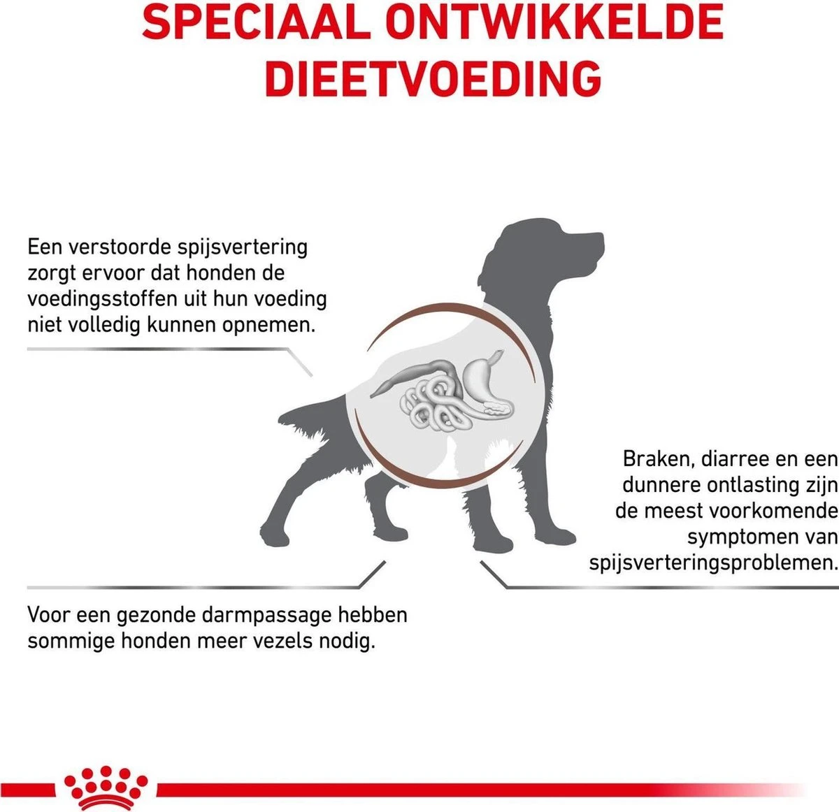 Royal Canin Fibre Response - Hondenvoer - 14 Kg - Afbeelding 4