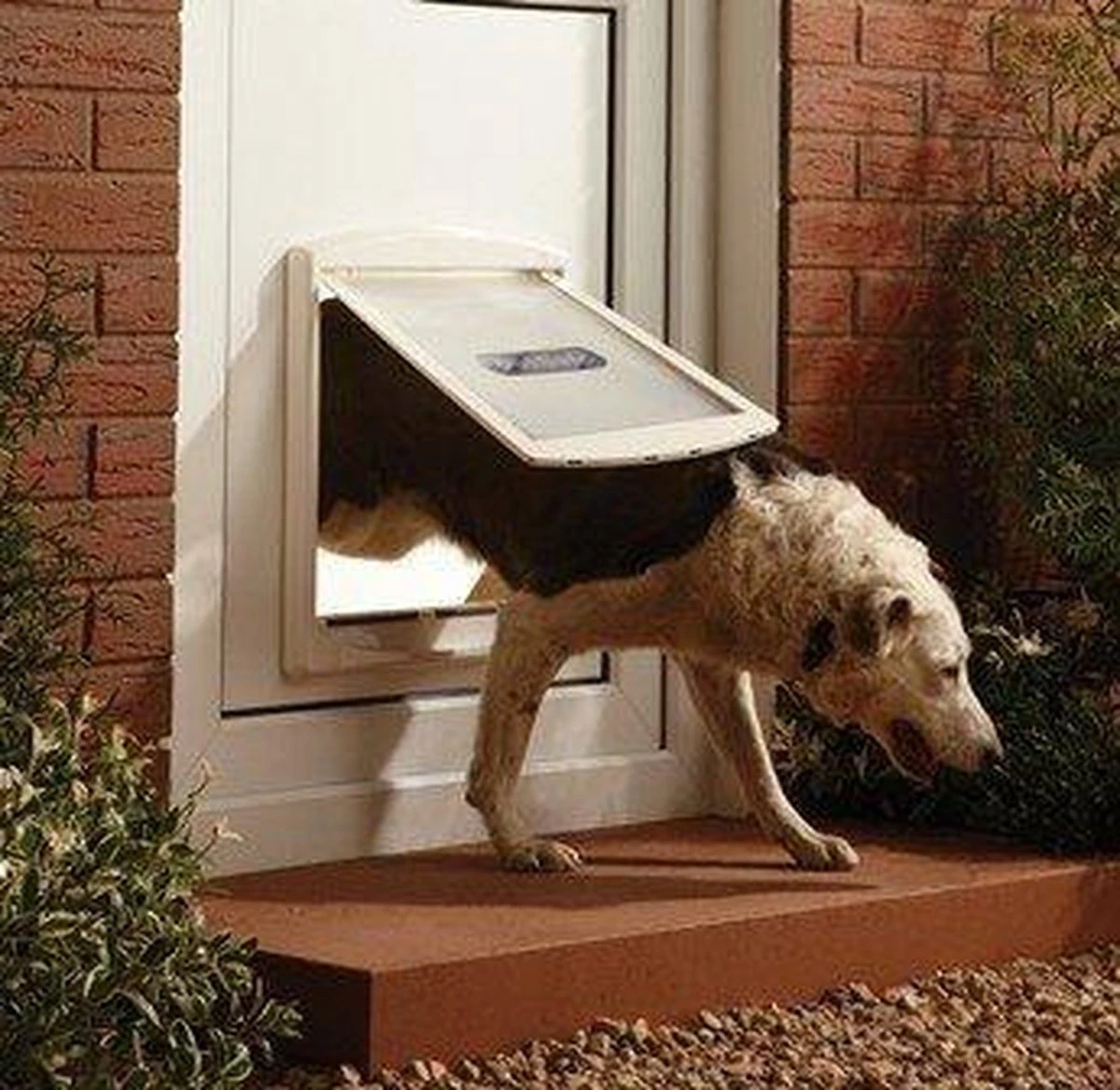 Staywell 777 Hondenluik - Large - Zilver/Tranparant - Afbeelding 8