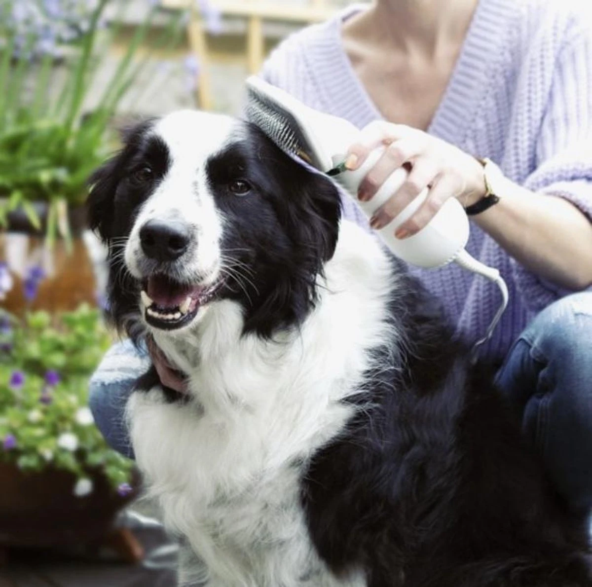 Merkloos HondenFöhn En Borstel - RVS Borstel - Huisdieren - 2 In 1 Hondenföhn - Afbeelding 5