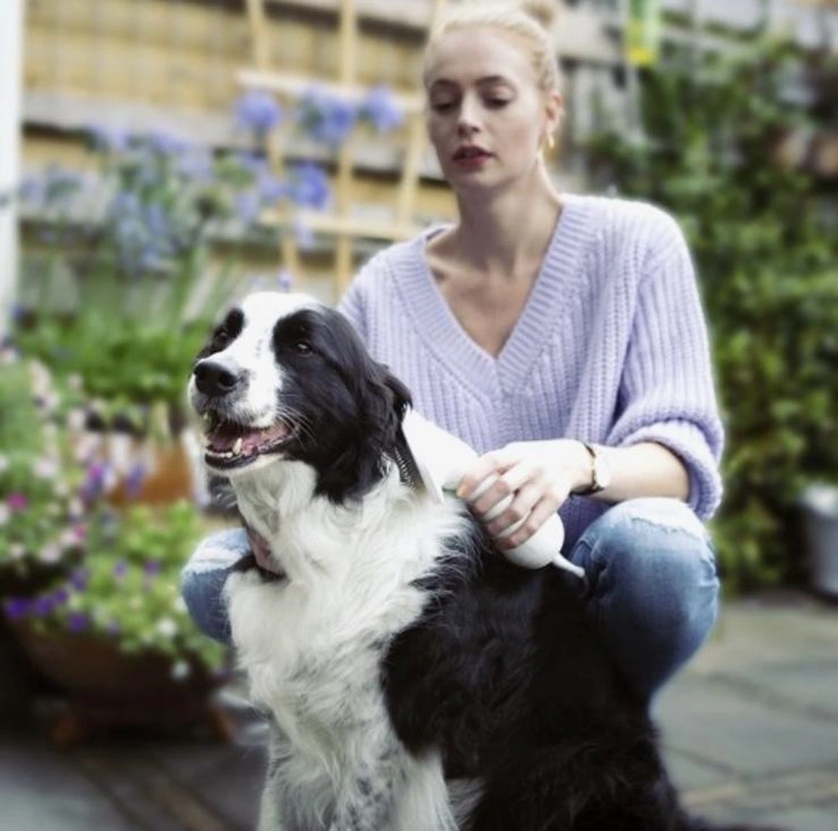 Merkloos HondenFöhn En Borstel - RVS Borstel - Huisdieren - 2 In 1 Hondenföhn - Afbeelding 8