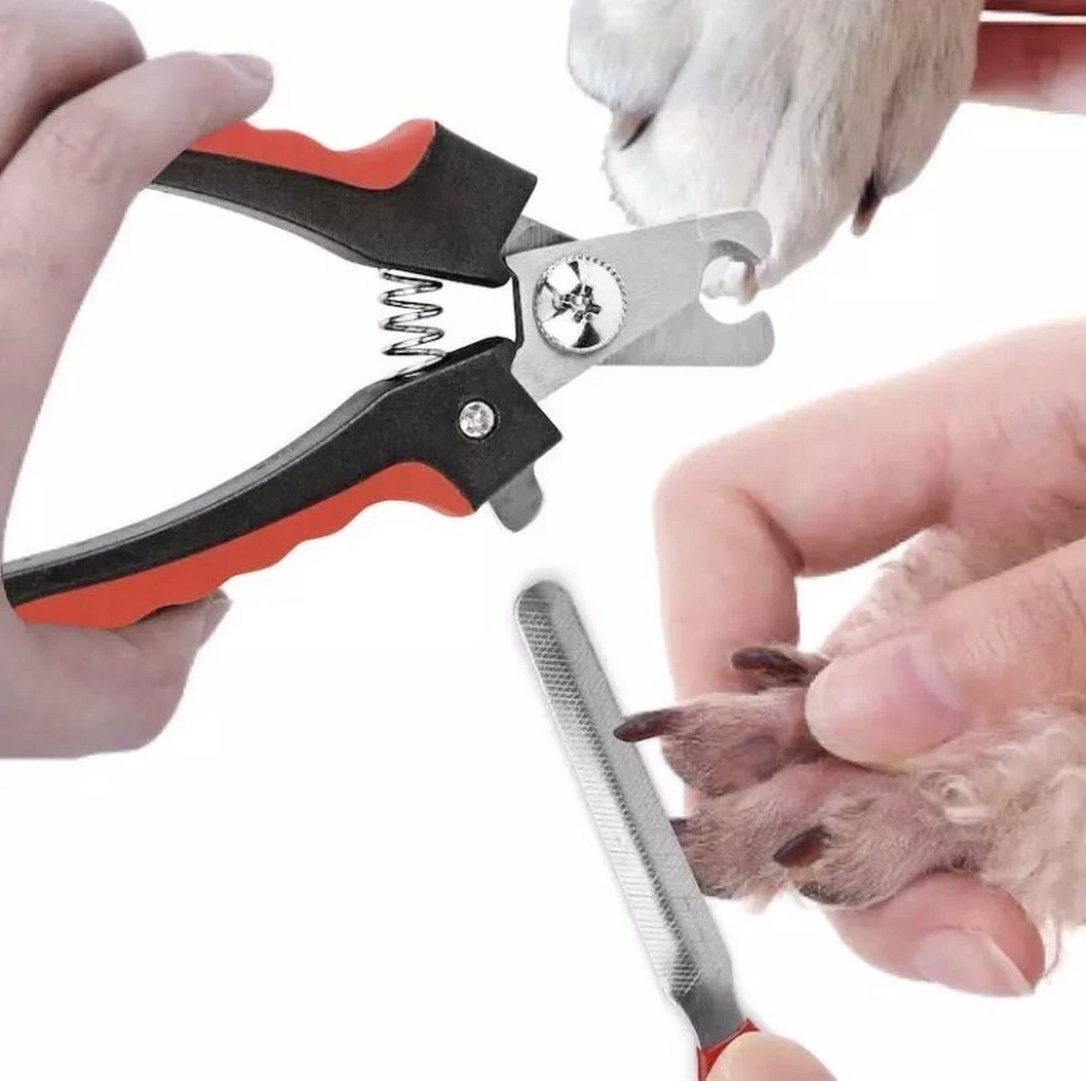 Merkloos Professionele Nagelschaar - Dieren Nagelschaar - Rood & Zwart - Honden Nagelknipper - Hondennagels - Honden Knip Schaar - Honden Knipsch - Afbeelding 5