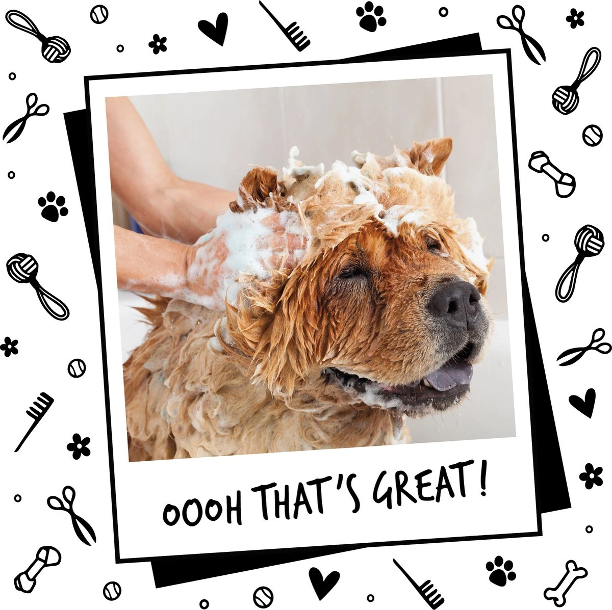 Bugalugs - Hondenshampoo - One In A Million - Alle Vachttypes - Fles Met Pompje - Vegan - 500 Ml - Afbeelding 7