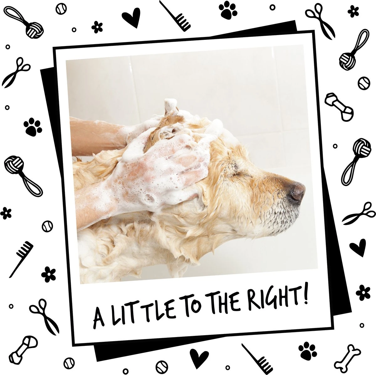 Bugalugs - Hondenshampoo - One In A Million - Alle Vachttypes - Fles Met Pompje - Vegan - 500 Ml - Afbeelding 10