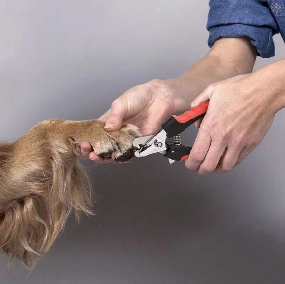 Merkloos Professionele Nagelschaar - Dieren Nagelschaar - Rood & Zwart - Honden Nagelknipper - Hondennagels - Honden Knip Schaar - Honden Knipsch - Afbeelding 6