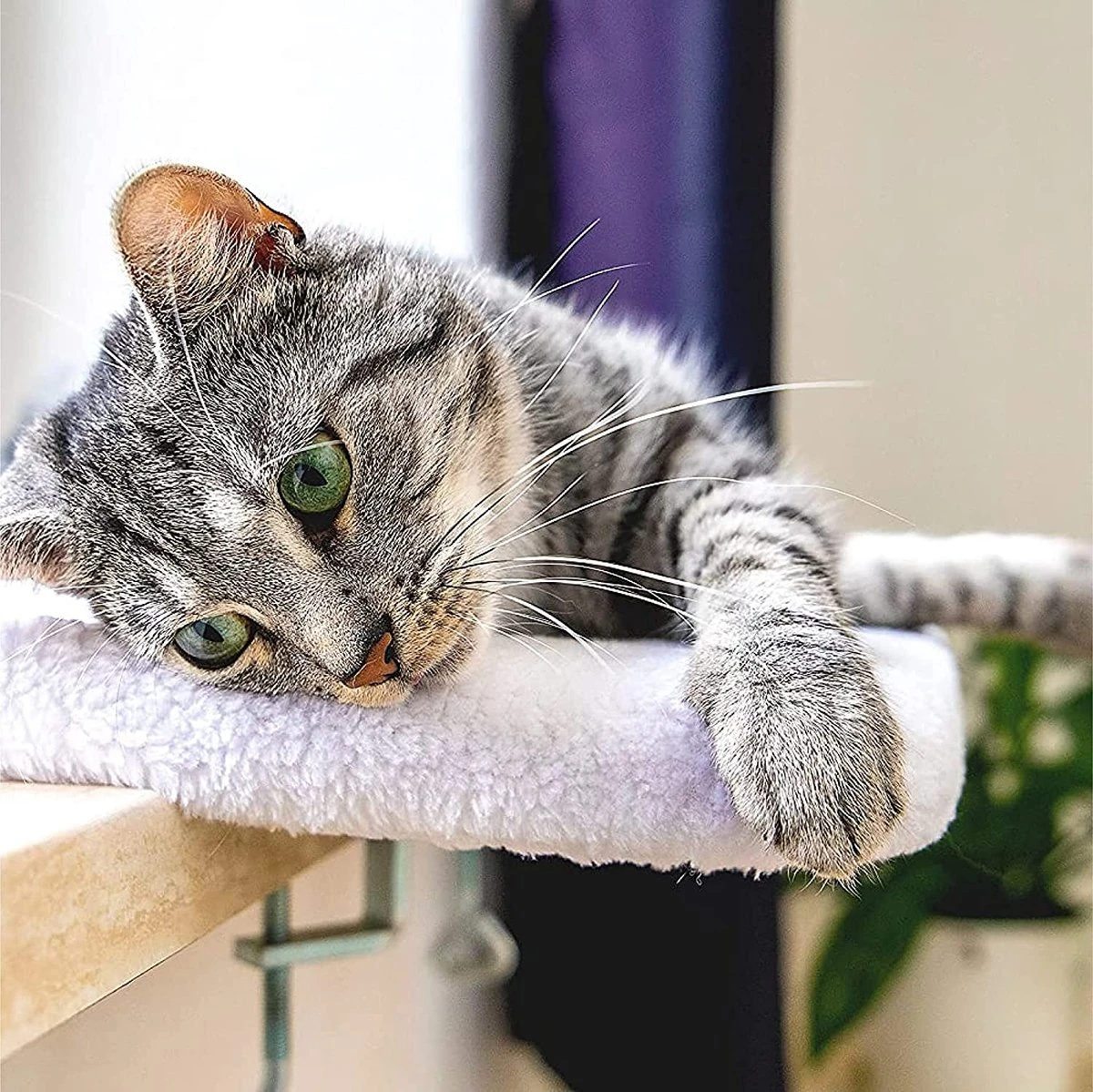 Pfotenolymp® Premium Window Baars/Krabmat Voor Katten Bij Het Raam - Vensterbank/Kattenbank Voor De Vensterbank - Zit/Ligstoel Voor Katten - Afbeelding 4