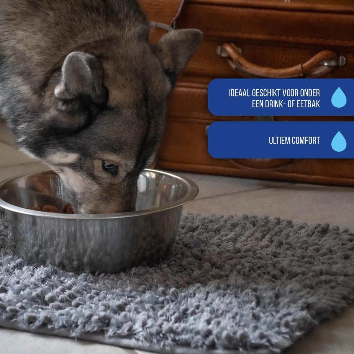 Royal Dry Absorberende Anti-knoeimat Voor Honden – Trekt Vuil Als Een Spons – Laat Geen Vocht Door – 61x45 Cm – Microfiber Chenille – Geschikt Voor Honden En Overige Huisdieren - Afbeelding 6