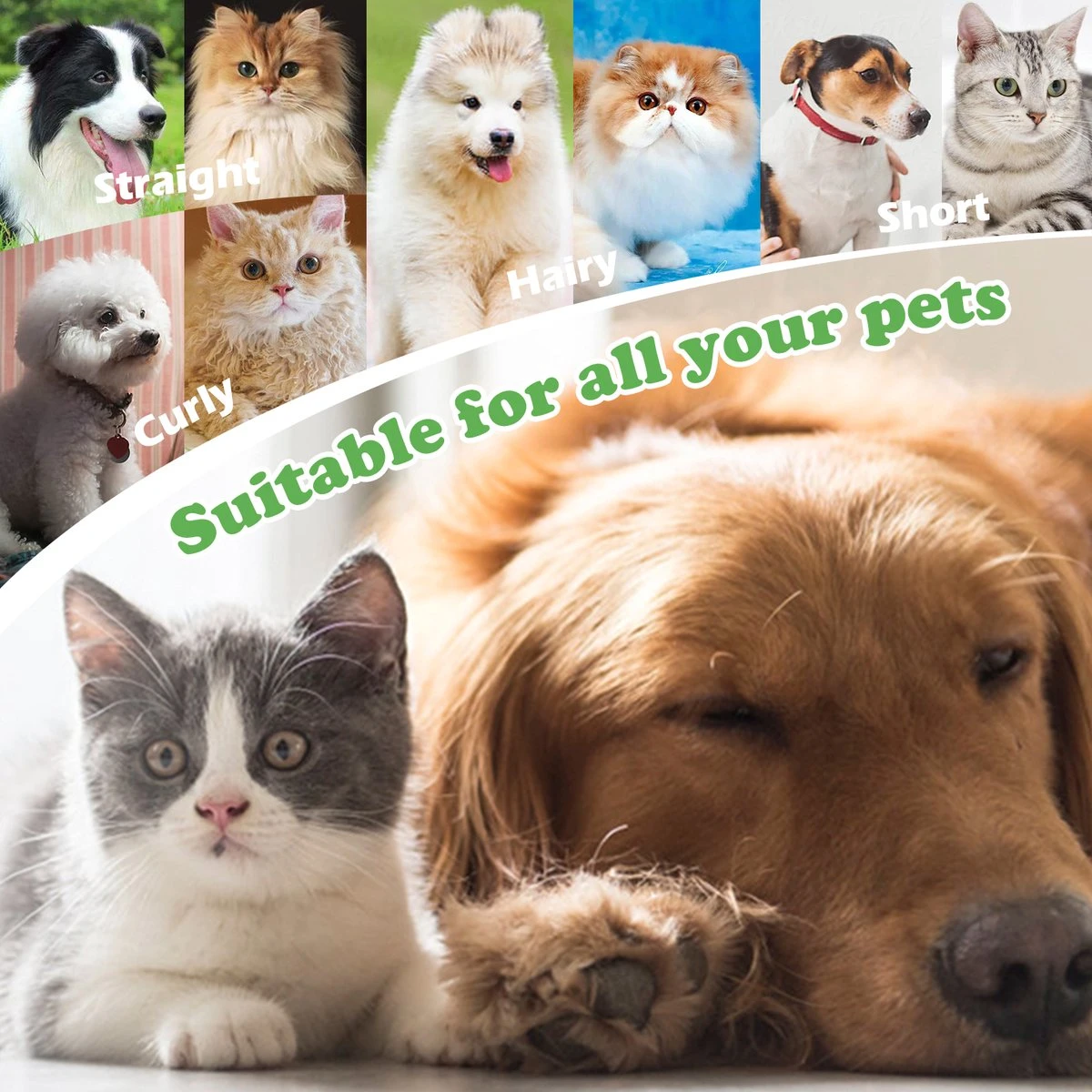 Merkloos Nobleza Dierenborstel - Hondenborstel - Kattenborstel - Tweezijdig - Dubbelzijdig - Hout - Maat L - Afbeelding 5