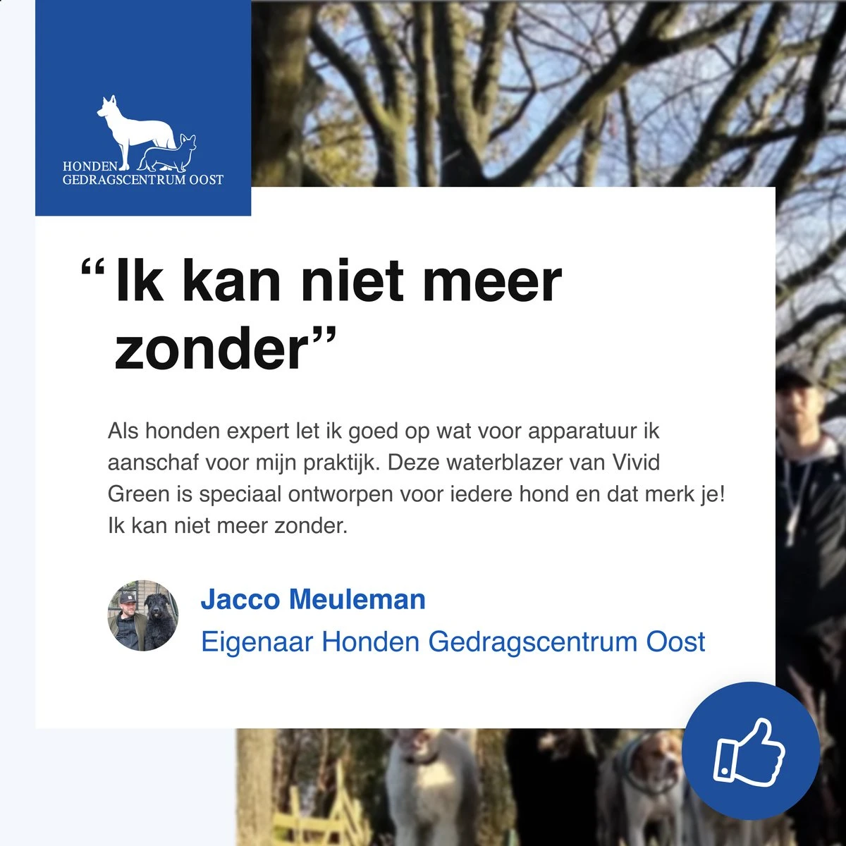 Vivid Green Waterblazer Met 3 Opzetstukken - Hondenfohn - Voor Honden - Met Geluiddemper - 2800W - Afbeelding 11