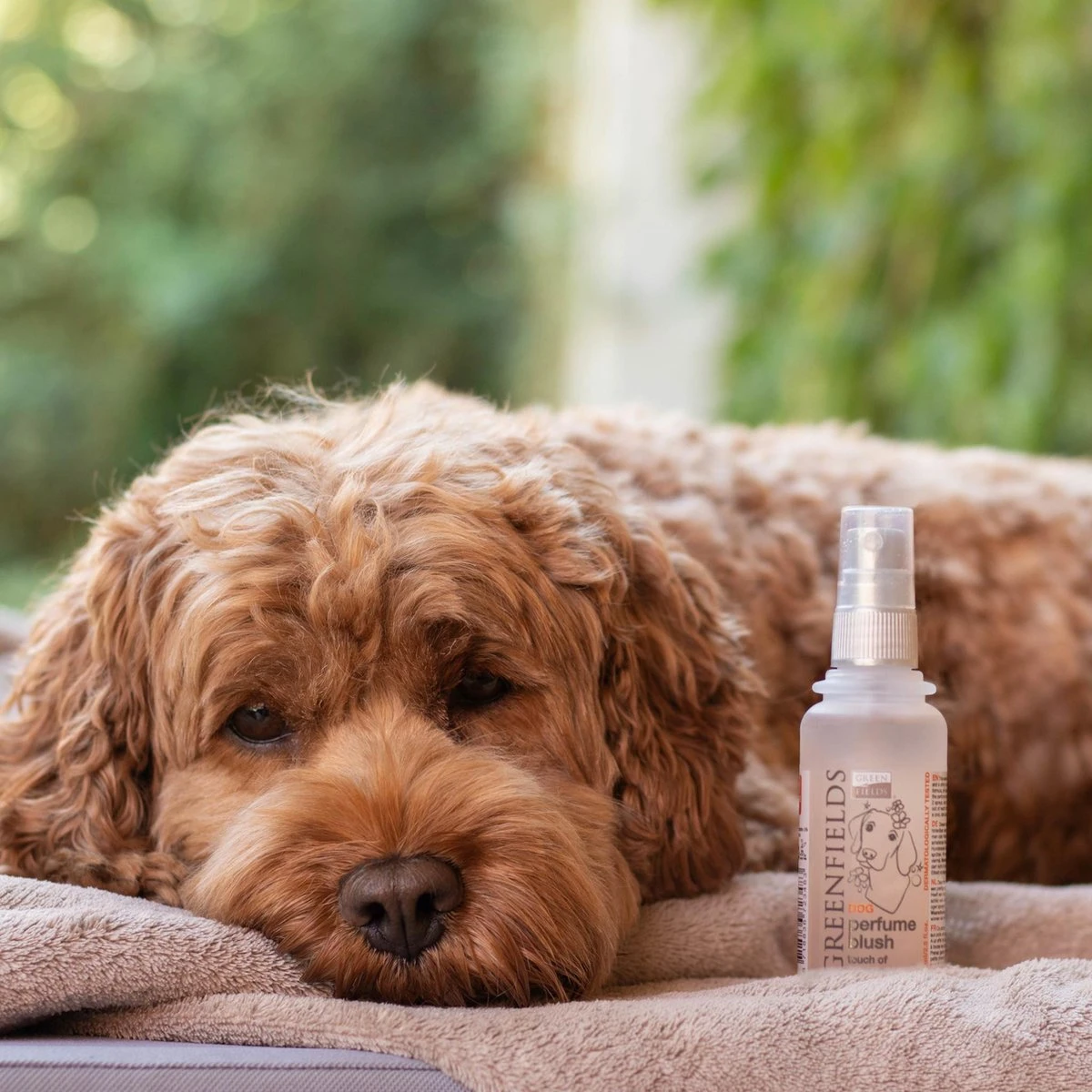 Hondenparfum Spray In 4 Geuren - Greenfields - Alchoholvrije En PH Neutrale Formule Tegen Onaangename Geurtjes - 50ml - Exotic - Afbeelding 6