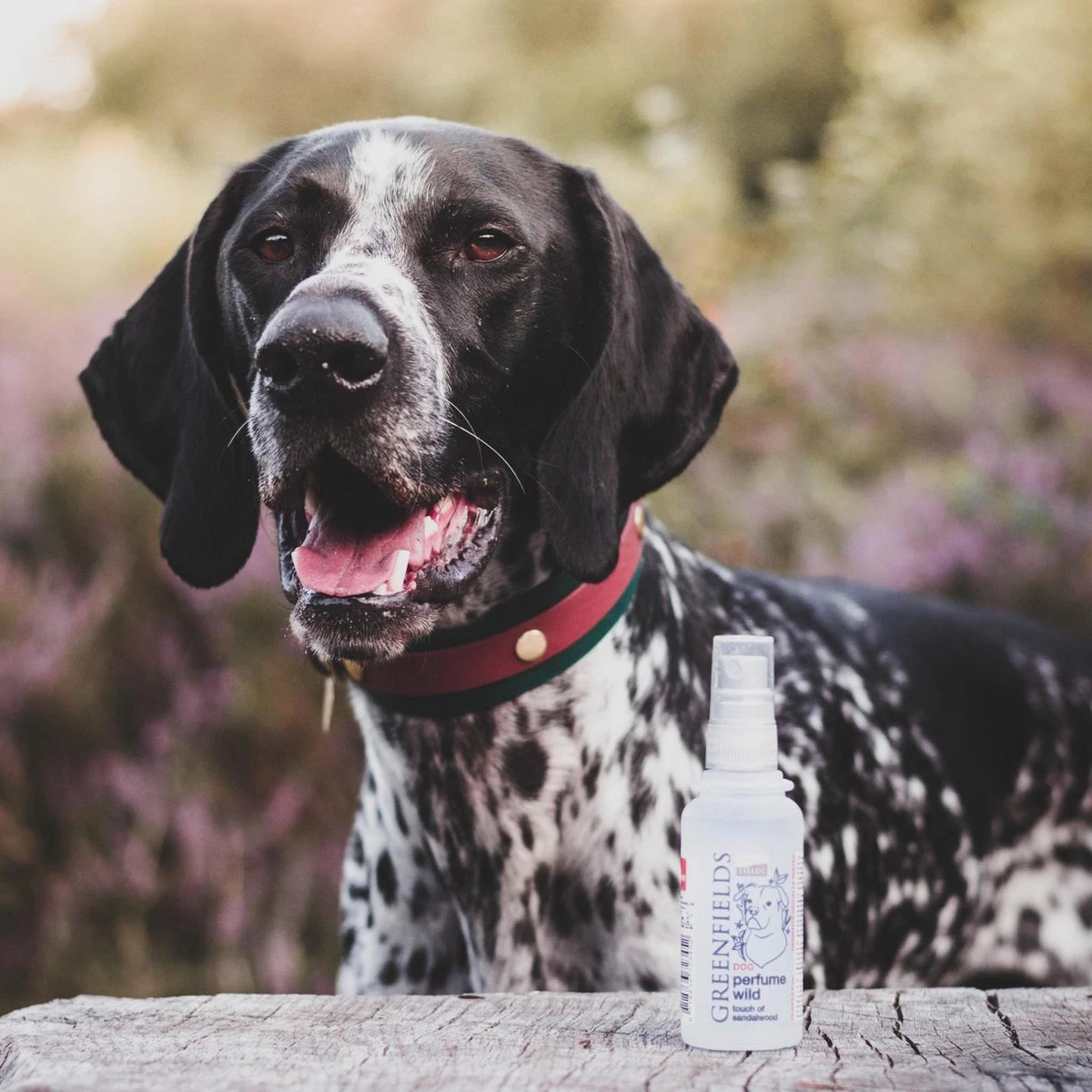 Hondenparfum Spray In 4 Geuren - Greenfields - Alchoholvrije En PH Neutrale Formule Tegen Onaangename Geurtjes - 50ml - Exotic - Afbeelding 14