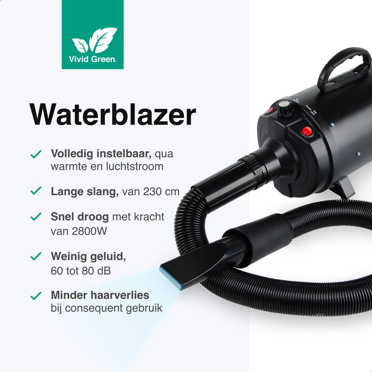 Vivid Green Waterblazer Met 3 Opzetstukken - Hondenfohn - Voor Honden - Met Geluiddemper - 2800W - Afbeelding 2