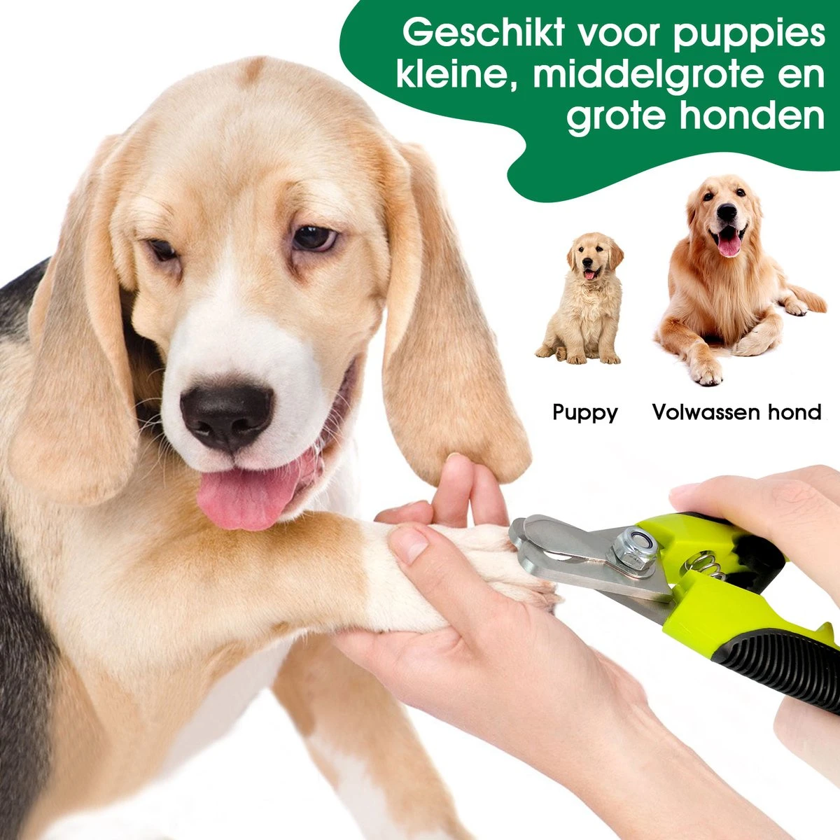Mister Mill Professionele Nagelknipper Hond En Kat - Nageltang - Nagelschaar Konijn, Cavia En Andere Dieren - Afbeelding 6
