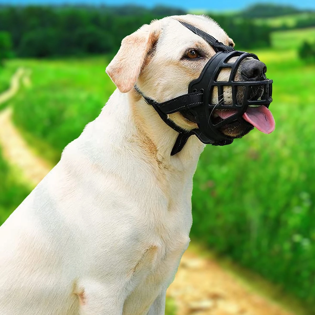 Sharon B Muilkorf Hond - Zwart - XXL - Voor Zeer Grote Honden - Snuitomtrek 38-43 Cm - Afbeelding 6