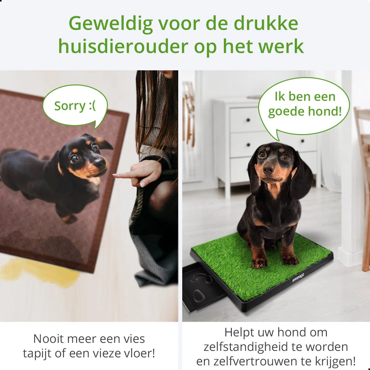 AWEMOZ Hondentoilet Kunstgras - Met 2 Matten En Opvangbak - 64x52x7,5cm - Puppy Pads - Zindelijkheidstraining Hond - Training Pads - Indoor / Outdoor Honden Toilet - Afbeelding 5