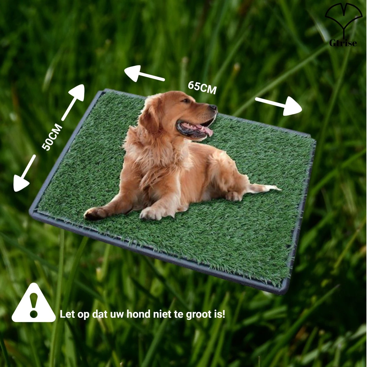 Merkloos Gtrise Hondentoilet Met 2 Matten - Out/Indoor - Zindelijkheidstraining Ebook - Dieren Wc - Afbeelding 8