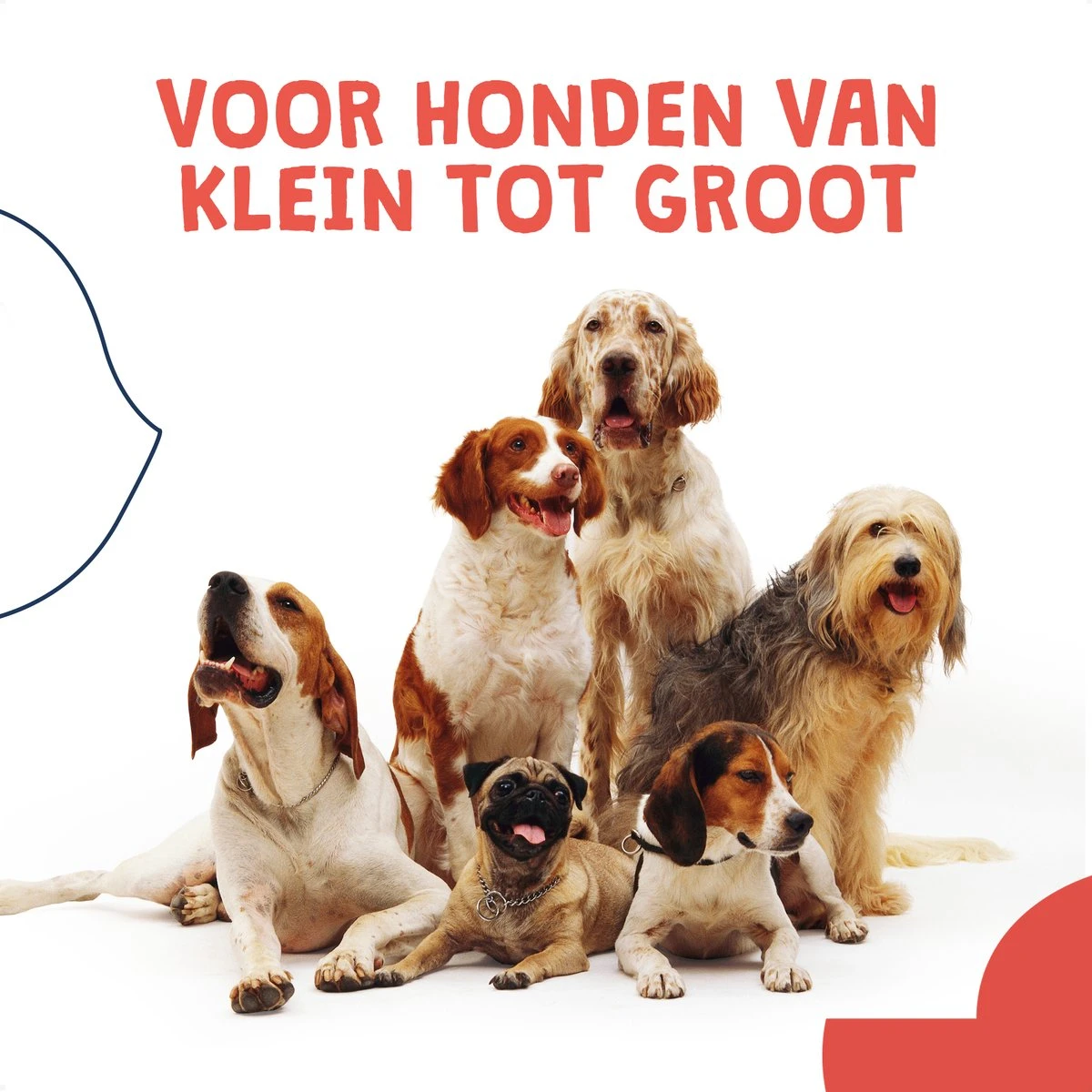 JC Pets Ultrasone Anti Blaf Apparaat Voor Kleine En Grote Honden - Oplaadbaar - Alternatief Anti Blafband Voor Honden - Diervriendelijk & Zonder Schok - Afbeelding 8