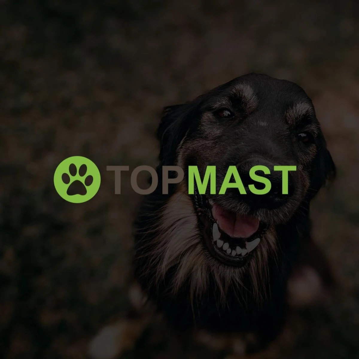 Merkloos Topmast Premium Puppyren - 120 Cm Hoog - 640 Cm Omtrek - Hondenren - Hondenhok - Zwart - Afbeelding 4