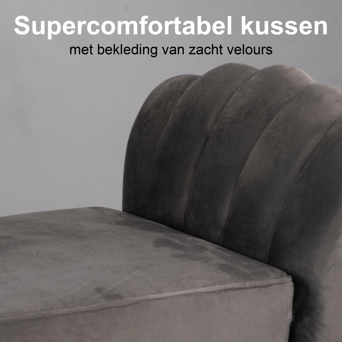 Maxxpro Katten- En Hondenbank - Grijs - Verhoogd Met Houten Poten - Fluweel Materiaal - 90 X 44 X 34 Cm - Huisdieren Tot 80 KG - Afbeelding 2