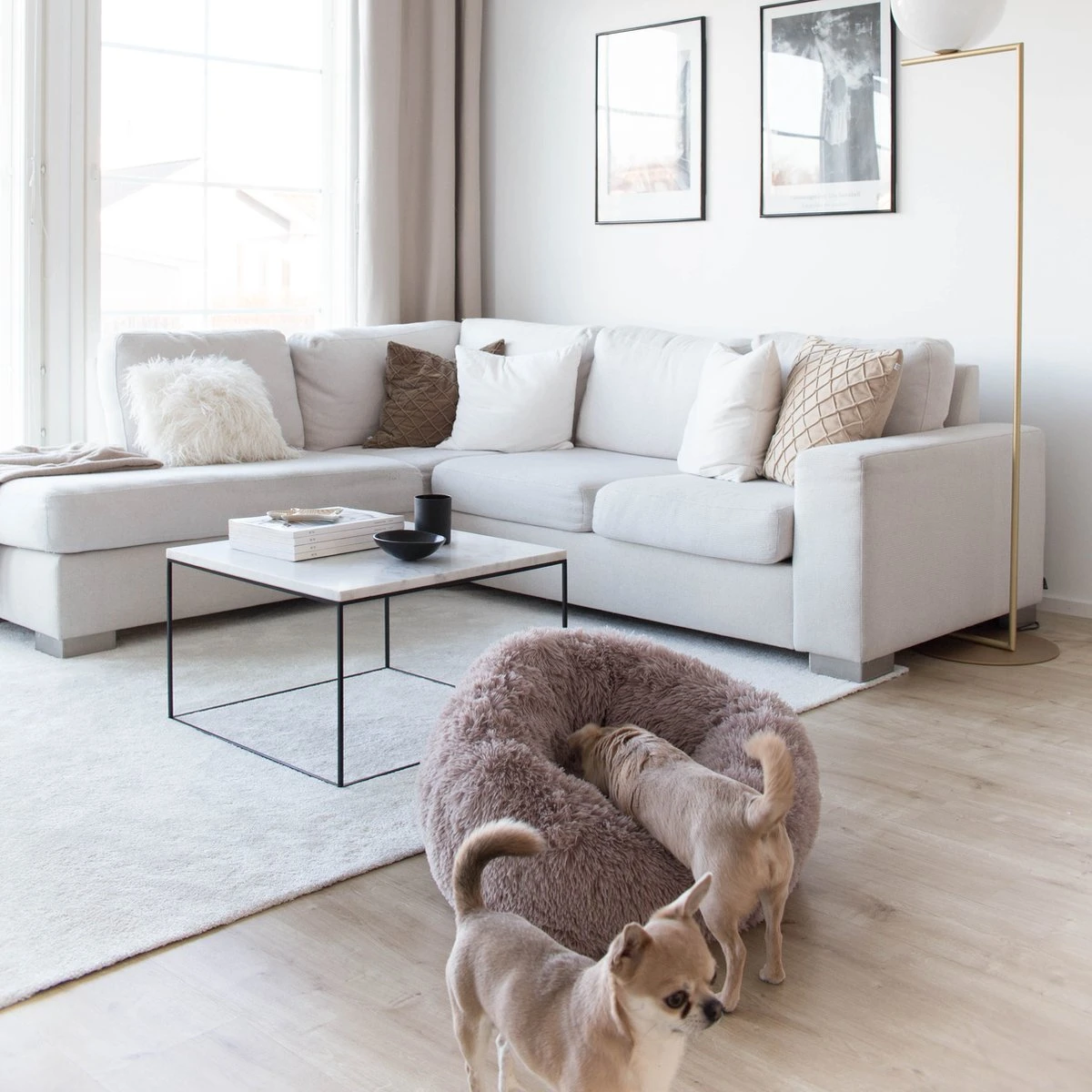 District 70 FUZZ - Hondenmand Comfortabel En Zacht Pluche - Zand, Oudroze, Donkergrijs En Lichtgrijs In S/M/L/XL - Maat: Large, Kleur: Zand - Afbeelding 8