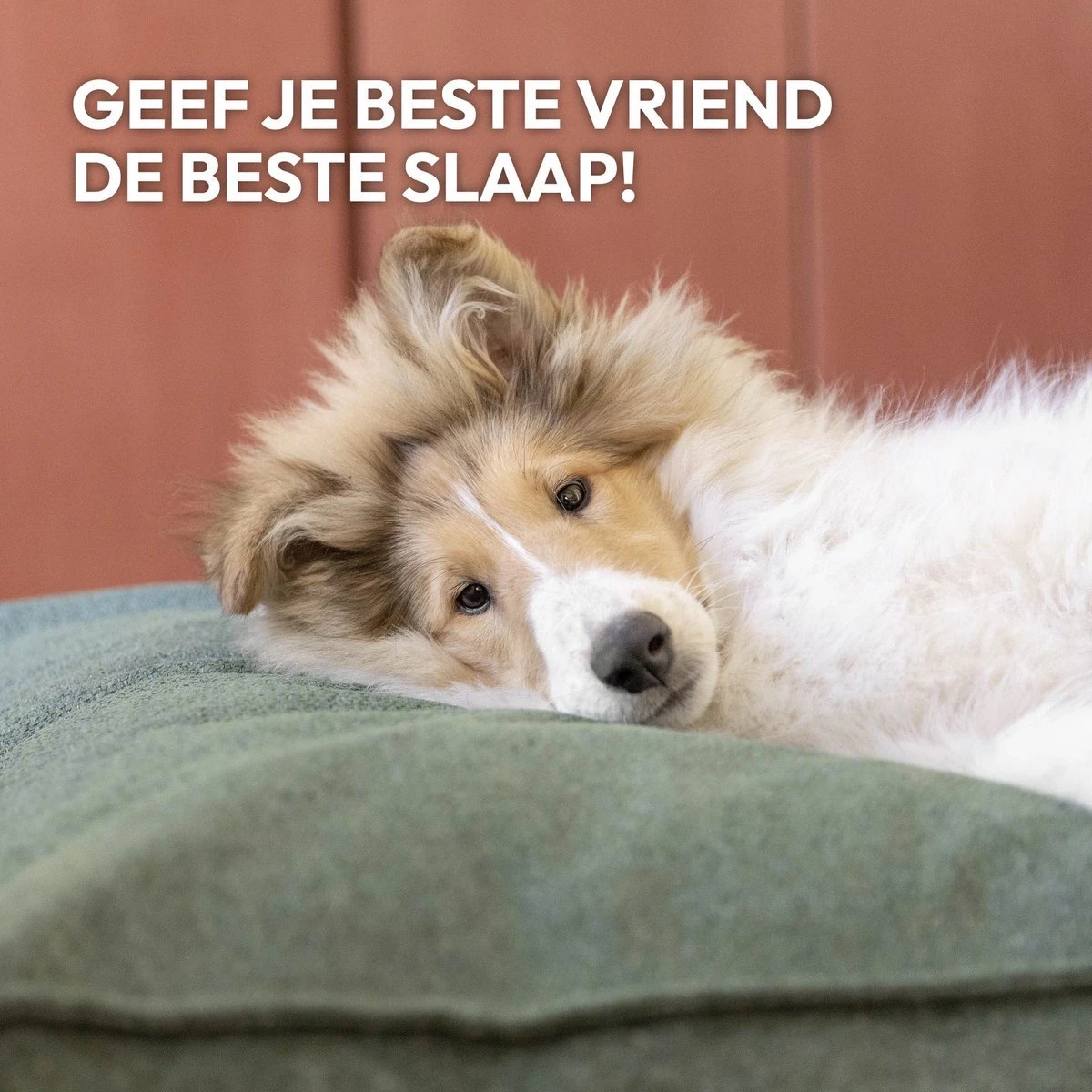 Snoozle Orthopedische Hondenmand - Zacht En Luxe Hondenkussen - Hondenbed - Wasbaar - Hondenmanden - 100 X 70 Cm - Groen - Afbeelding 7