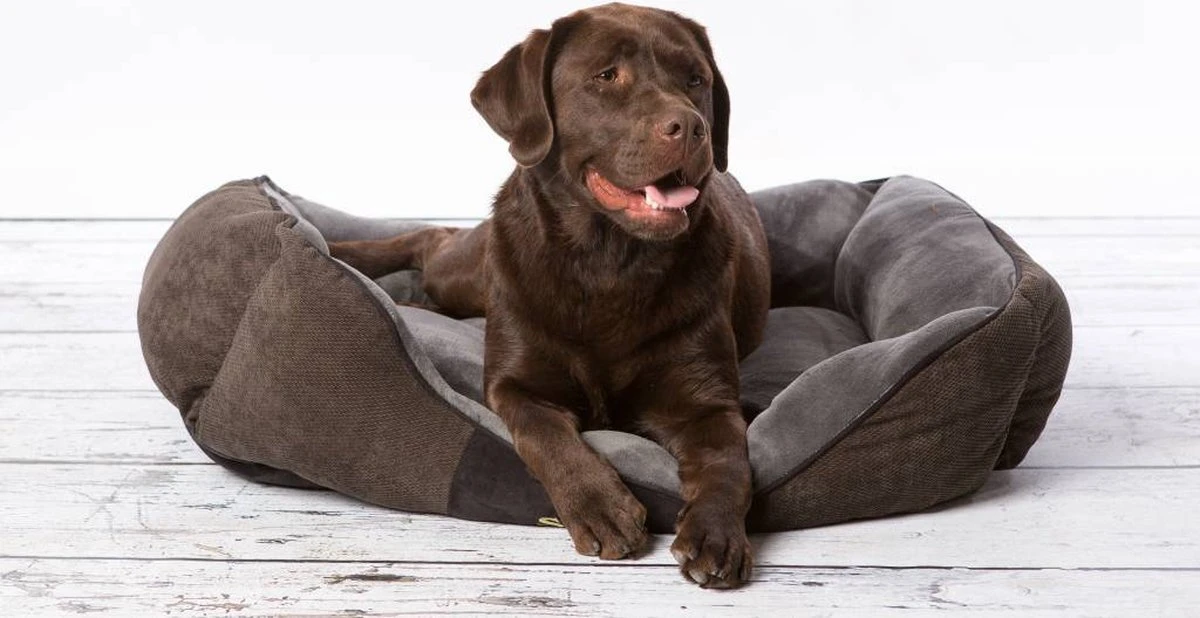 Hondenmand Zacht En Stevig, Anti-Slip En Wasbaar - Scruffs Chester Box Bed - In Grijs En Bruin In Maat S Tot XL - Kleur: Grijs, Maat: Large - Afbeelding 11