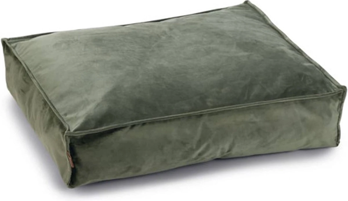 Designed By Lotte Ligkussen Hond Nalino Groen 70 X 55 Cm - Hond