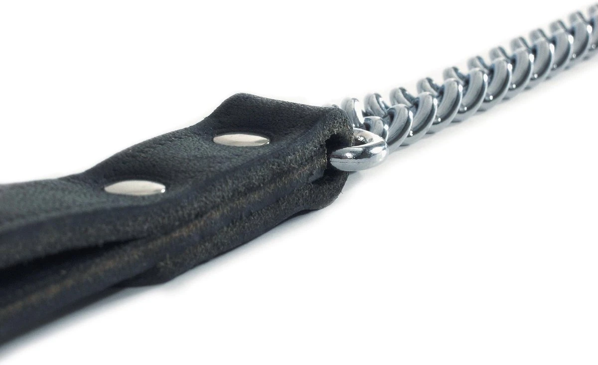 Beeztees - Hondenriem - Kettinglijn - Zwart - 2x112 Cm - Afbeelding 4