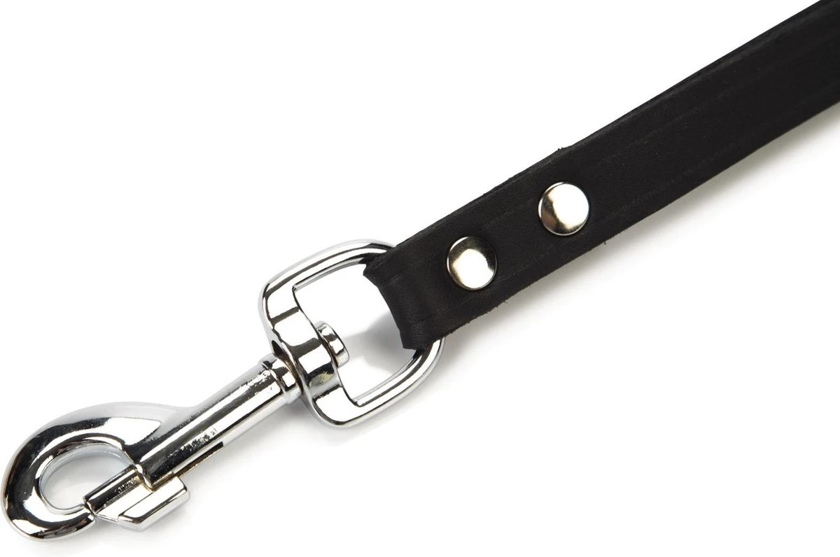 Beeztees Korthouder - Hondenriem - Leer - Bruin - 40x18 Cm - Afbeelding 3