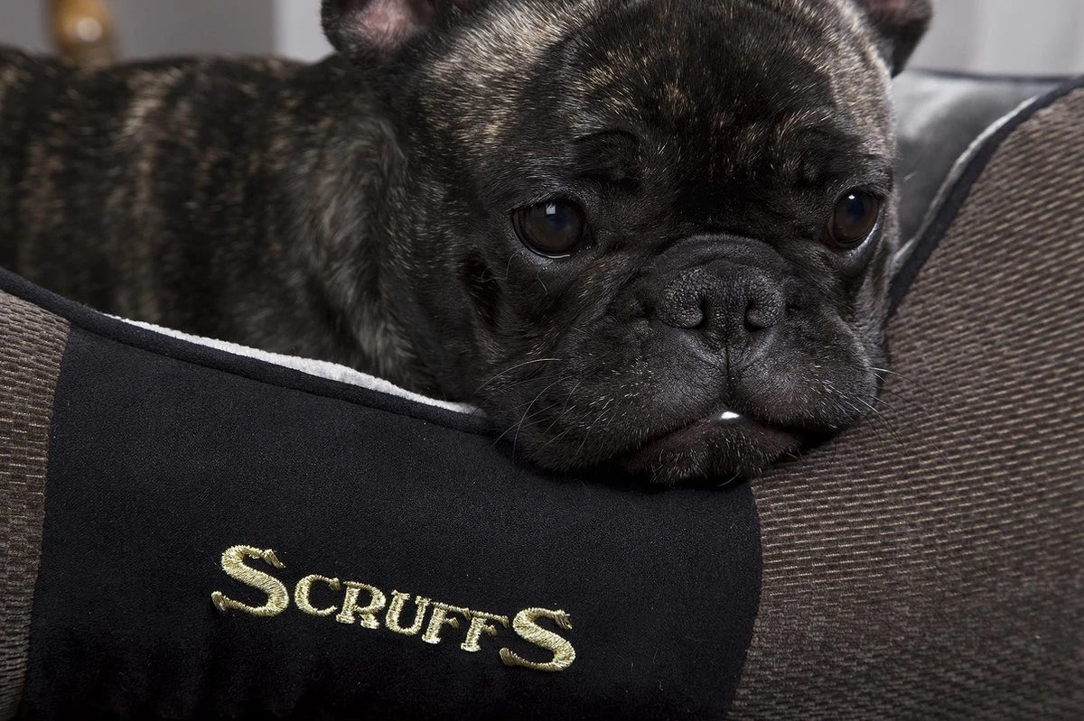 Hondenmand Zacht En Stevig, Anti-Slip En Wasbaar - Scruffs Chester Box Bed - In Grijs En Bruin In Maat S Tot XL - Kleur: Grijs, Maat: Large - Afbeelding 19