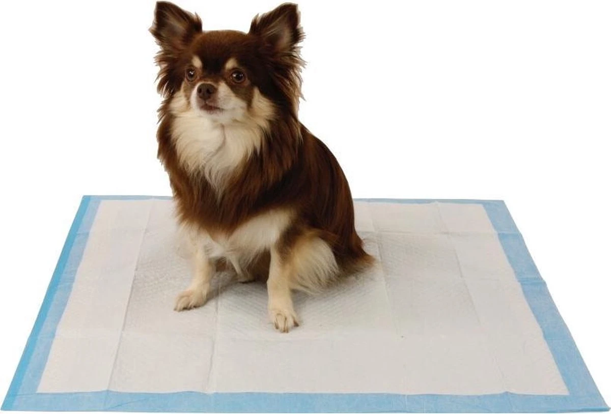 Easypets Puppy Training Pads - Zindelijkheidstraining - Hondentoilet - 58 X 58 Cm - 105 Stuks - Afbeelding 4