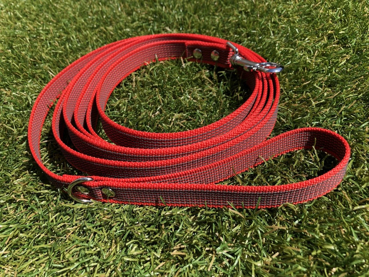 Merkloos Hondenriem - Antislip Lijn - 3 Meter - Rood - Training - Anti Slip - Volglijn - Looplijn - Speurlijn - Puppy