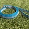 Merkloos Hondenriem - Antislip Lijn - 3 Meter - Turquoise - Training - Anti Slip - Volglijn - Looplijn - Speurlijn - Puppy