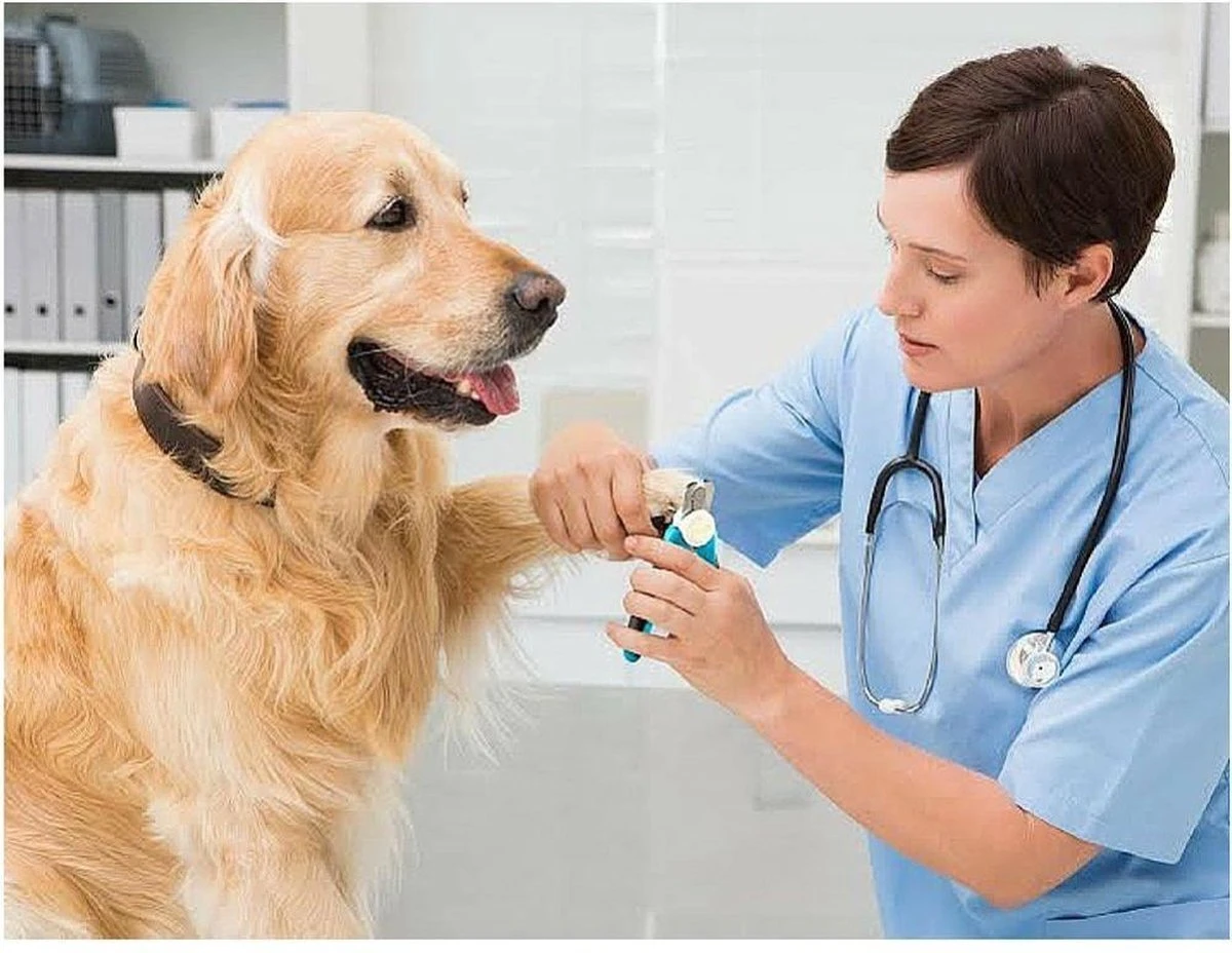 WVspecials® Professionele Dieren Nagelschaar Met Led Licht - Dieren Nagelschaar - Nagelschaar Hond - Honden Nagelknipper - Hondennagels - Honden Knip Schaar - Nageltang - Met LED Licht, Veiligheidsstop En Nagelvijl - Black Friday - Sinterklaas - Afbeelding 2