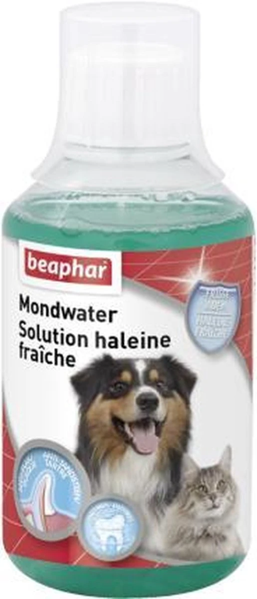 Beaphar Mondwater - 250 Ml - Afbeelding 7