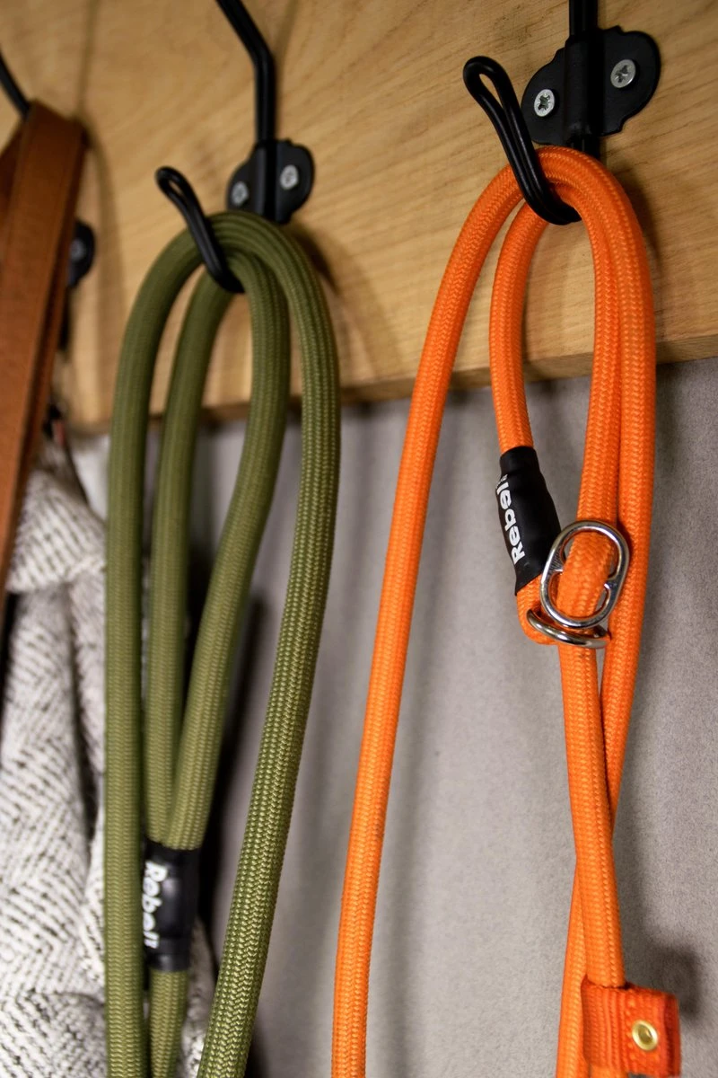 Rebel Petz - Honden Trainingslijn Met Halsband - Taupe, Zwart, Groen & Oranje - Maat Small Of Large - Kleur: Taupe, Maat: Large - Afbeelding 16