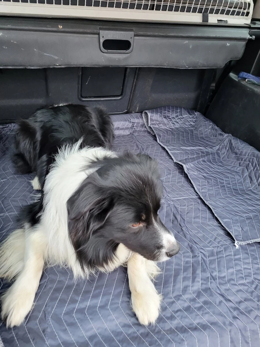 Luxe Hondendeken 200 X 150 Cm Auto Achterbank Kofferbak Vuilafstotend & Beschermend - Afbeelding 3