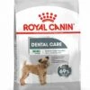 Royal Canin Ccn Dental Care Mini - Hondenvoer - 3 Kg