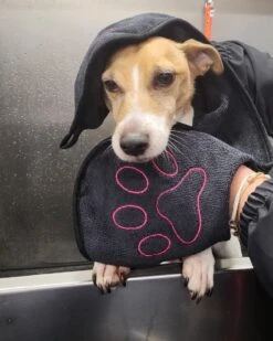 N4dogs – Hondenhanddoek – Honden Handdoek – Microvezel Handdoek – Handdoek Hond – Droogdoek Hond – Dierendeken – Sterk Absorberend – Handdoek Met Zakken - Zwart - 66 X 23 Cm